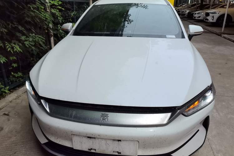 Used BYD Qin PLUS 2024 Honor Edition EV 510KM Leading Model Front