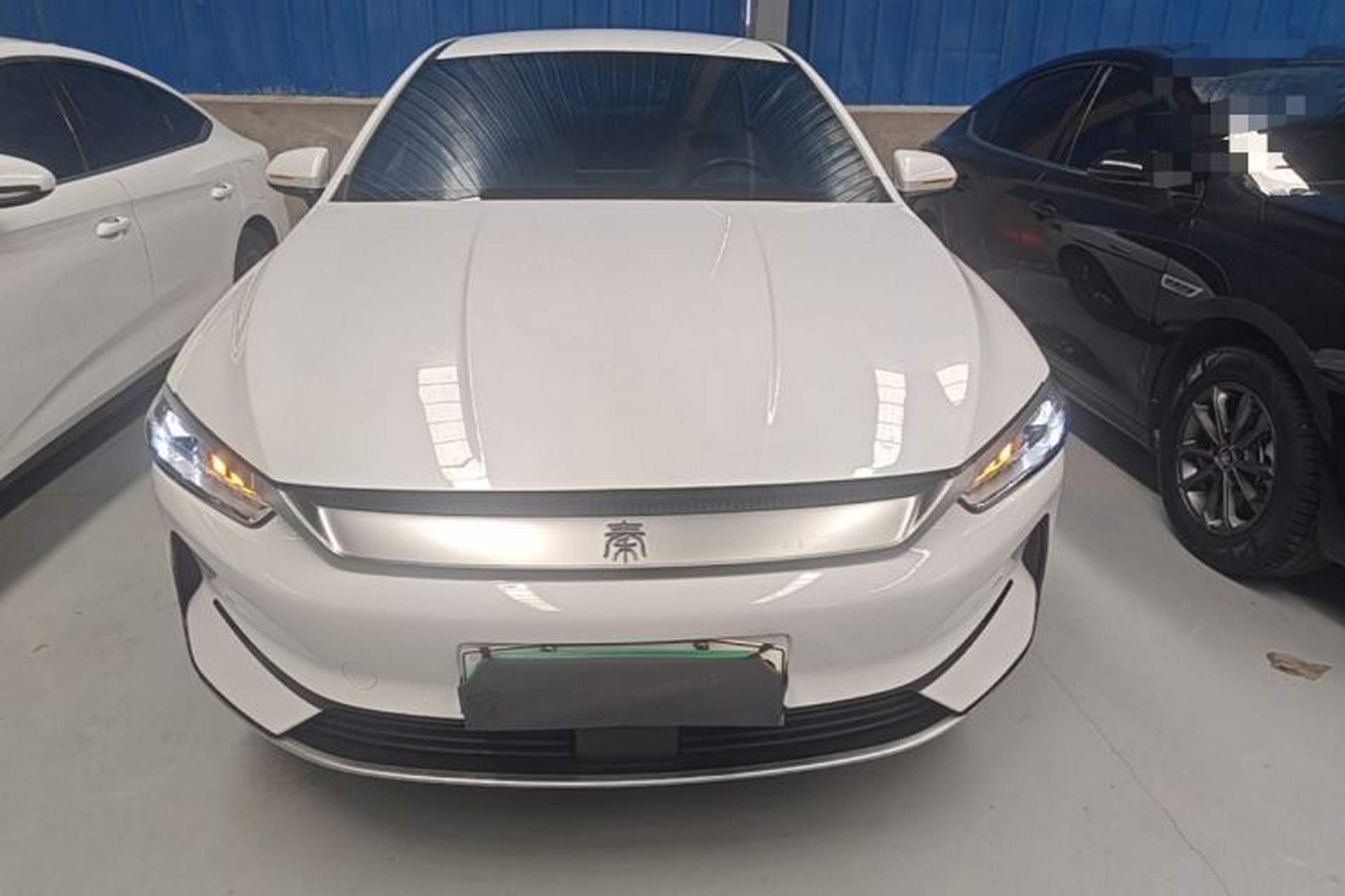Used BYD Qin PLUS 2024 Honor Edition EV 510KM Leading Model Front