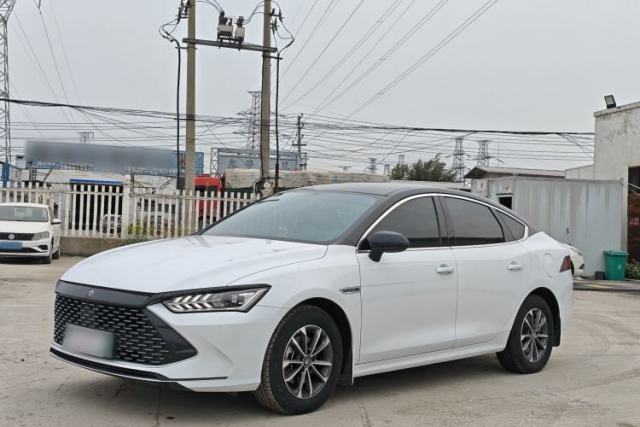BYD Qin PLUS 2024 HONOR Edition DM-i 55KM Leading Model usado