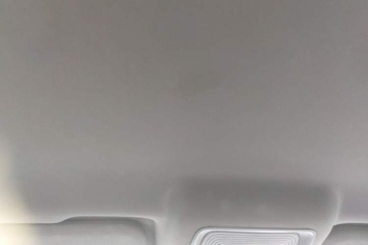 Used BYD Qin PLUS 2024 Honor Edition EV 510KM Leading Model Headliner