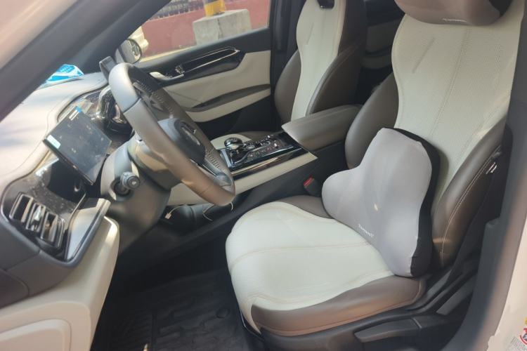 Used BYD Qin PLUS 2024 HONOR Edition DM-i 55KM Leading Model Left Front Seat