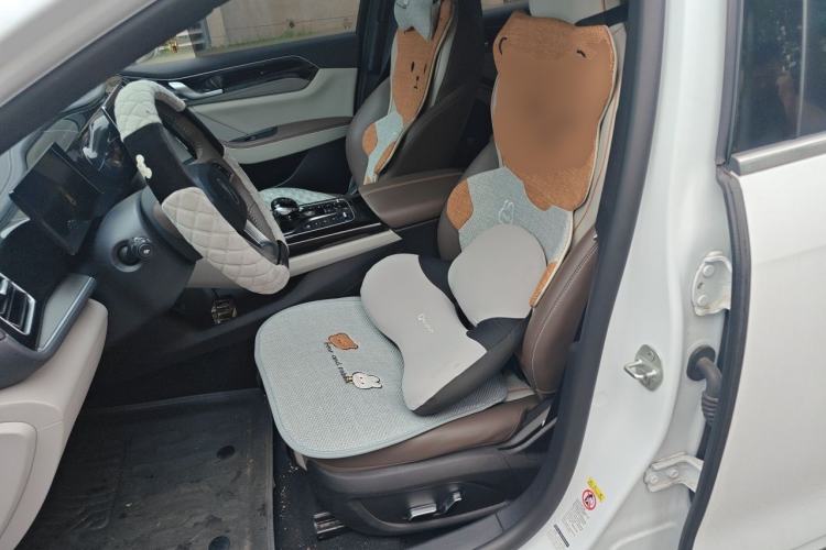 Used BYD Qin PLUS 2024 HONOR Edition DM-i 55KM Beyond Model Left Front Seat