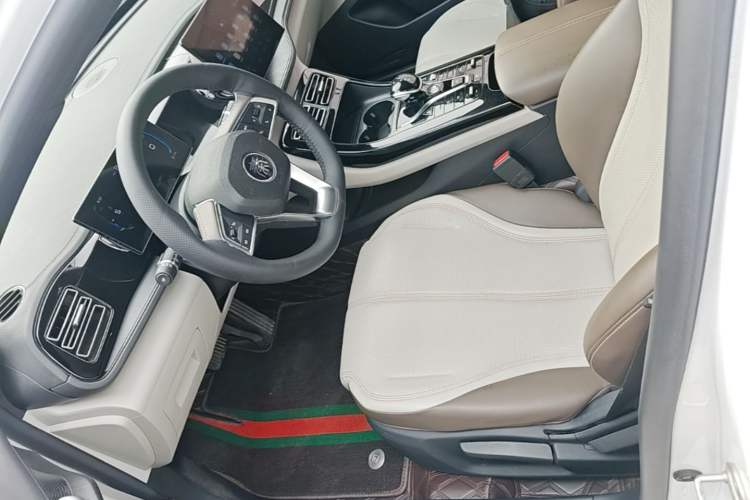 Used BYD Qin PLUS 2024 HONOR Edition DM-i 55KM Leading Model Left Front Seat
