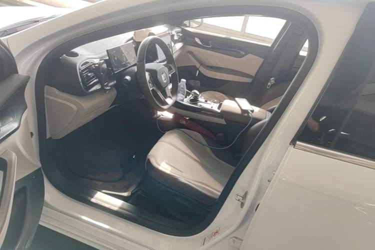 Used BYD Qin PLUS 2024 HONOR Edition DM-i 55KM Leading Model Left Front Seat