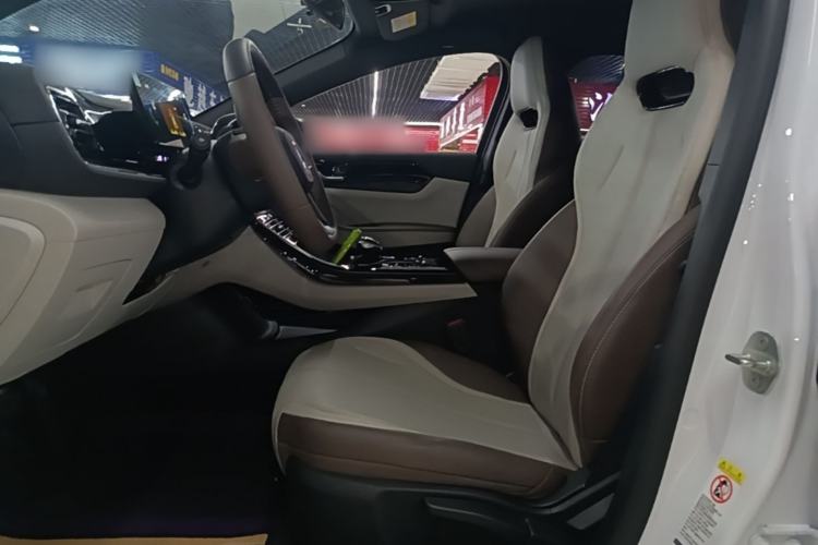 Used BYD Qin PLUS 2024 HONOR Edition DM-i 55KM Leading Model Left Front Seat