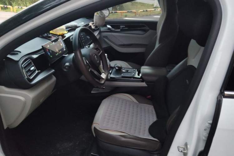 Used BYD Qin PLUS 2024 HONOR Edition DM-i 55KM Beyond Model Left Front Seat