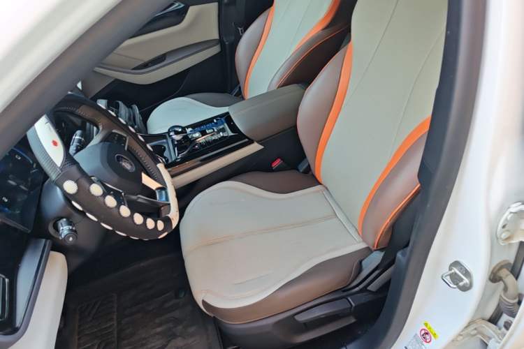 Used BYD Qin PLUS 2024 HONOR Edition DM-i 55KM Leading Model Left Front Seat