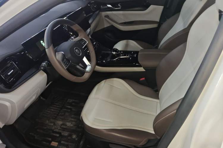 Used BYD Qin PLUS 2024 HONOR Edition DM-i 55KM Leading Model Left Front Seat