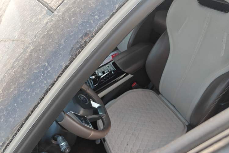 Used BYD Qin PLUS 2024 HONOR Edition DM-i 55KM Leading Model Left Front Seat