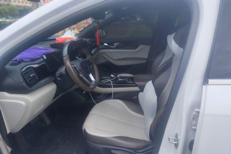 Used BYD Qin PLUS 2024 HONOR Edition DM-i 55KM Leading Model Left Front Seat