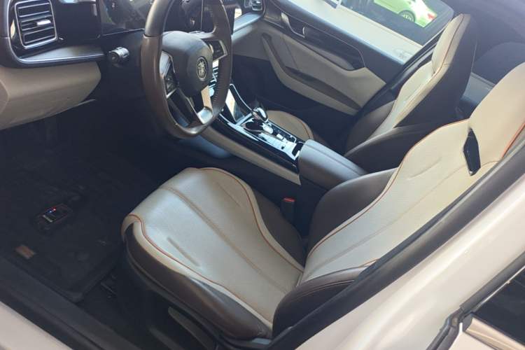Used BYD Qin PLUS 2024 HONOR Edition DM-i 120KM Leading Model Left Front Seat
