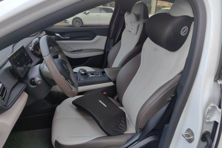Used BYD Qin PLUS 2024 HONOR Edition DM-i 55KM Leading Model Left Front Seat