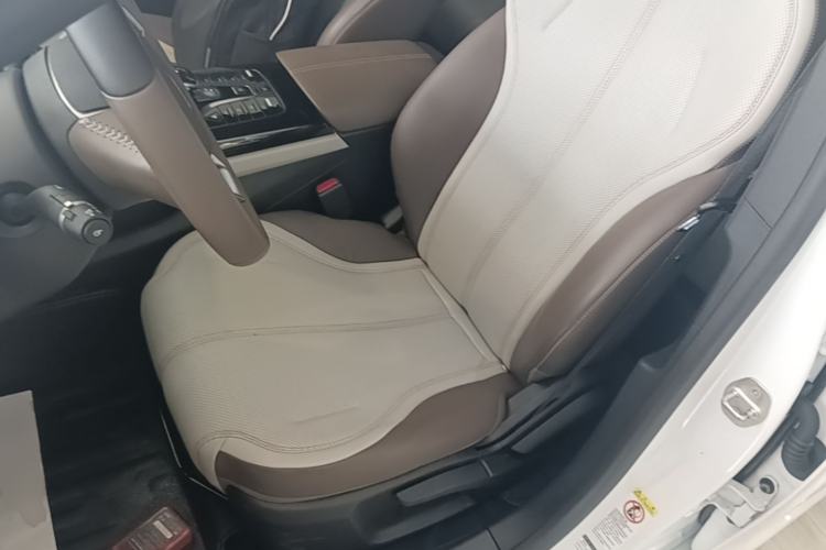 Used BYD Qin PLUS 2024 HONOR Edition DM-i 55KM Leading Model Left Front Seat