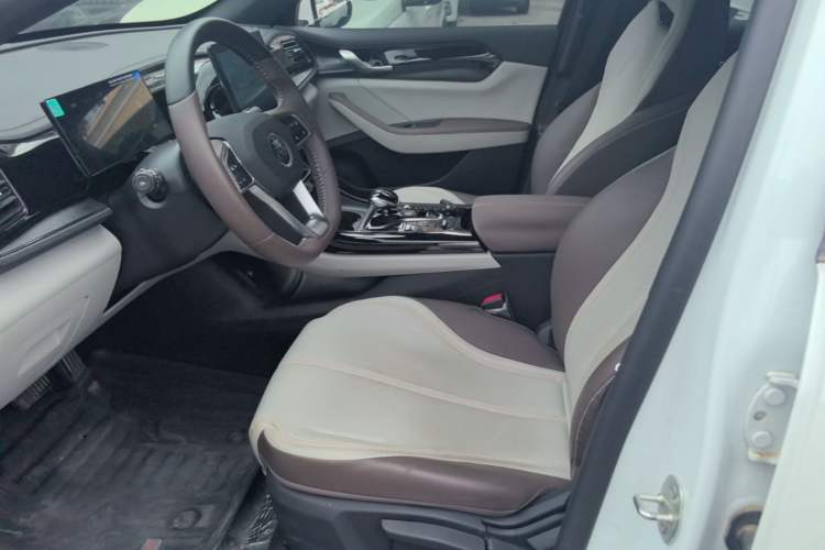 Used BYD Qin PLUS 2024 HONOR Edition DM-i 55KM Leading Model Left Front Seat