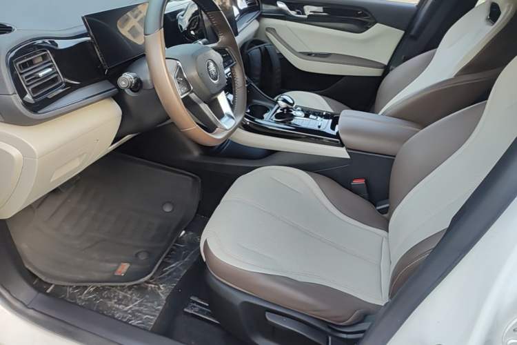 Used BYD Qin PLUS 2024 HONOR Edition DM-i 55KM Leading Model Left Front Seat