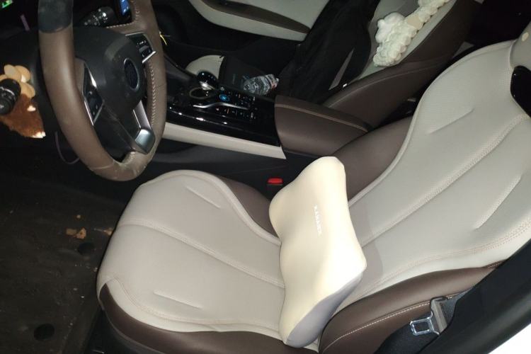 Used BYD Qin PLUS 2024 HONOR Edition DM-i 55KM Leading Model Left Front Seat
