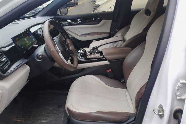 Used BYD Qin PLUS 2024 HONOR Edition DM-i 55KM Leading Model Left Front Seat