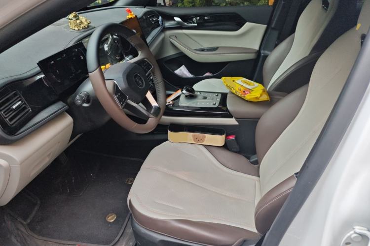 Used BYD Qin PLUS 2024 HONOR Edition DM-i 55KM Leading Model Left Front Seat