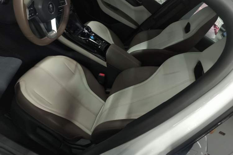 Used BYD Qin PLUS 2024 HONOR Edition DM-i 55KM Leading Model Left Front Seat