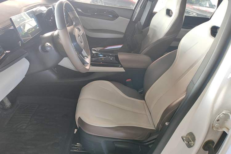 Used BYD Qin PLUS 2024 HONOR Edition DM-i 55KM Leading Model Left Front Seat