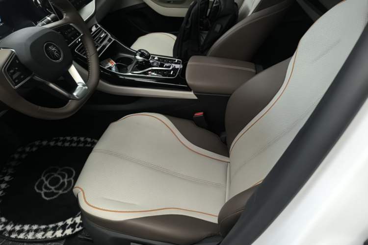 Used BYD Qin PLUS 2024 HONOR Edition DM-i 120KM Leading Model Left Front Seat