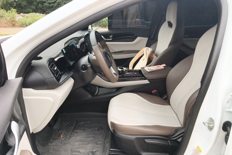 Used BYD Qin PLUS 2024 HONOR Edition DM-i 55KM Leading Model Left Front Seat