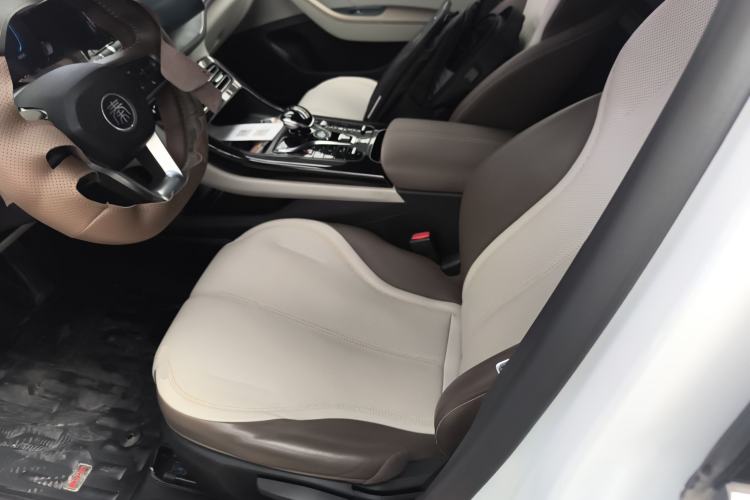 Used BYD Qin PLUS 2024 HONOR Edition DM-i 55KM Leading Model Left Front Seat