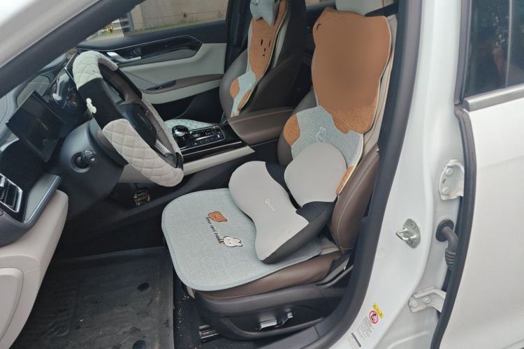 Used BYD Qin PLUS 2024 HONOR Edition DM-i 55KM Beyond Model Left Front Seat