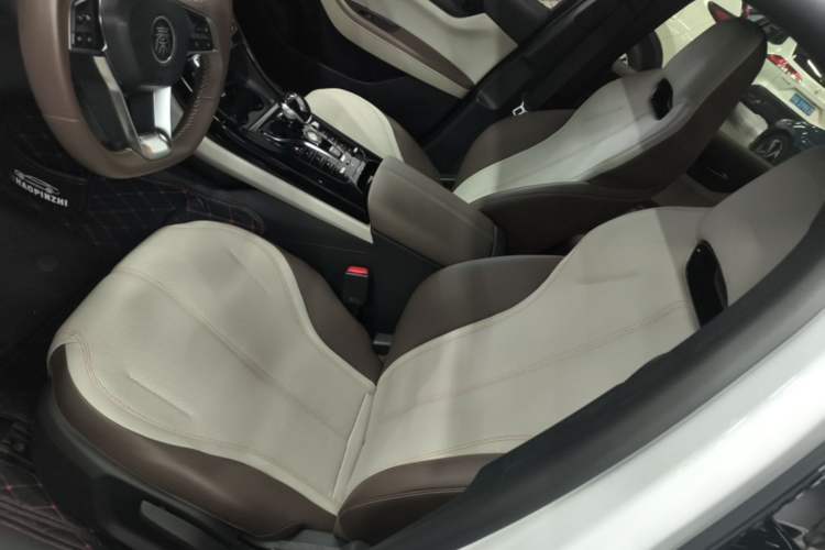 Used BYD Qin PLUS 2024 HONOR Edition DM-i 55KM Leading Model Left Front Seat