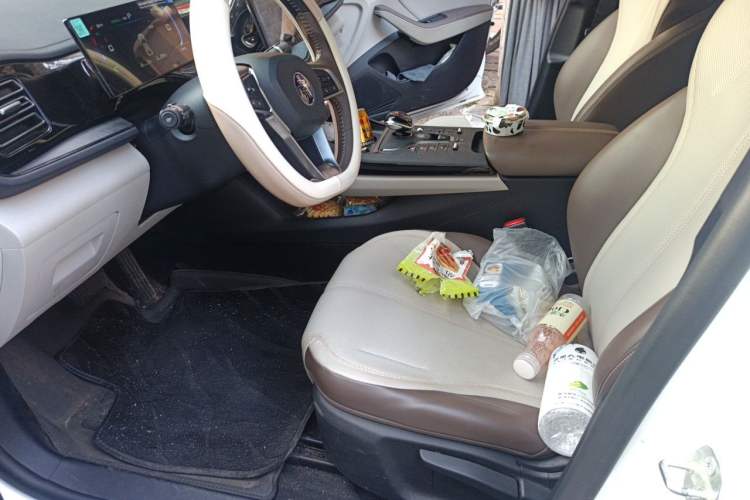 Used BYD Qin PLUS 2024 HONOR Edition DM-i 55KM Leading Model Left Front Seat