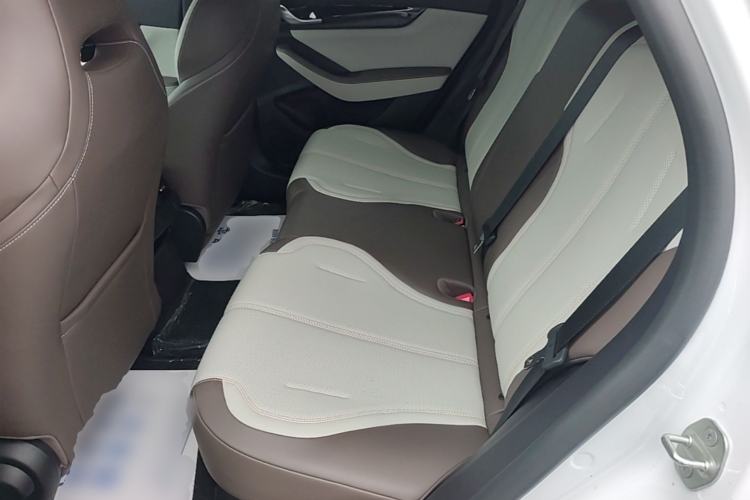 Used BYD Qin PLUS 2024 HONOR Edition DM-i 55KM Leading Model Left Rear Seat