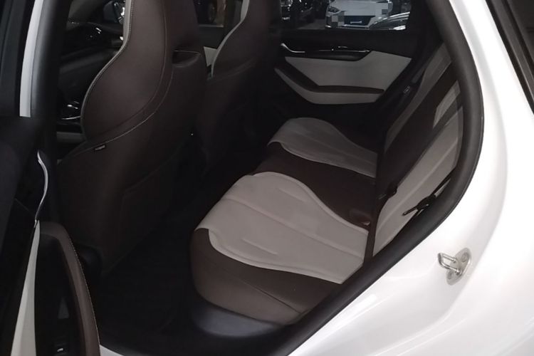 Used BYD Qin PLUS 2024 HONOR Edition DM-i 55KM Leading Model Left Rear Seat
