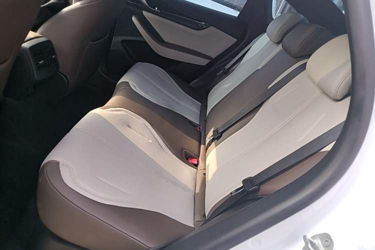 Used BYD Qin PLUS 2024 HONOR Edition DM-i 55KM Leading Model Left Rear Seat