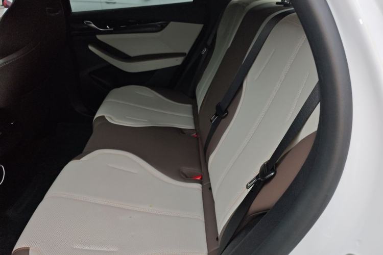 Used BYD Qin PLUS 2024 HONOR Edition DM-i 55KM Leading Model Left Rear Seat
