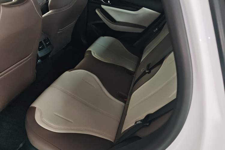 Used BYD Qin PLUS 2024 HONOR Edition DM-i 55KM Leading Model Left Rear Seat