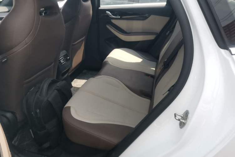 Used BYD Qin PLUS 2024 HONOR Edition DM-i 55KM Leading Model Left Rear Seat