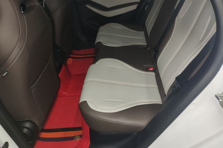Used BYD Qin PLUS 2024 HONOR Edition DM-i 55KM Leading Model Left Rear Seat