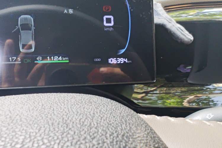Used BYD Qin PLUS 2024 HONOR Edition DM-i 55KM Beyond Model Odometer Close Up