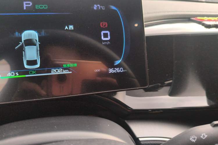 Used BYD Qin PLUS  Odometer Close Up