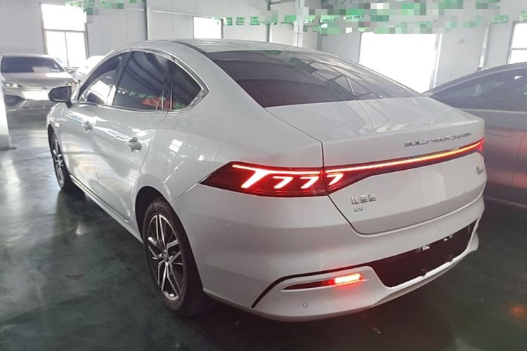 Used BYD Qin PLUS 2024 Honor Edition EV 510KM Leading Model Rear Left 45 Deg