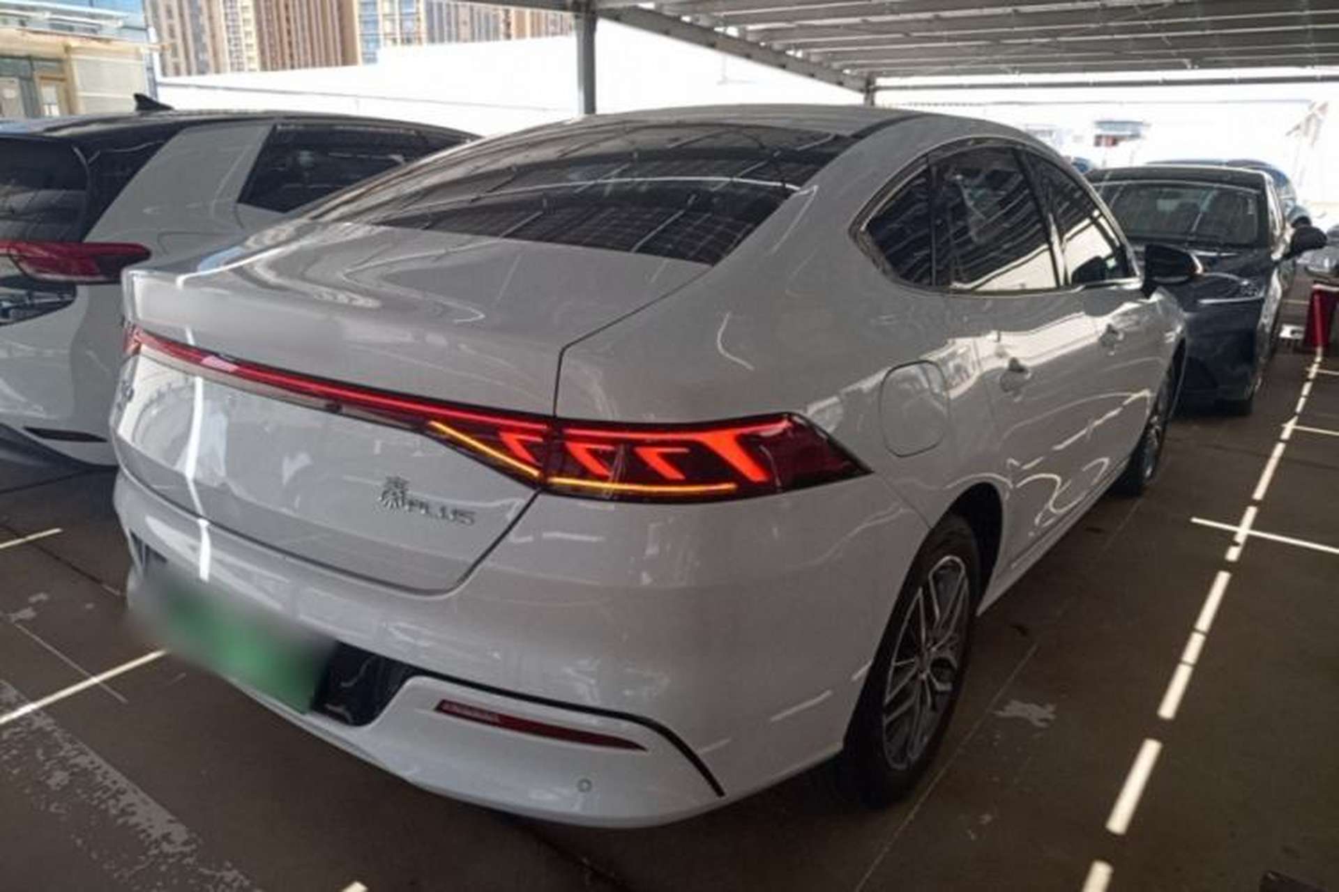 Used BYD Qin PLUS 2024 Honor Edition EV 510KM Leading Model Rear Right 45 Deg