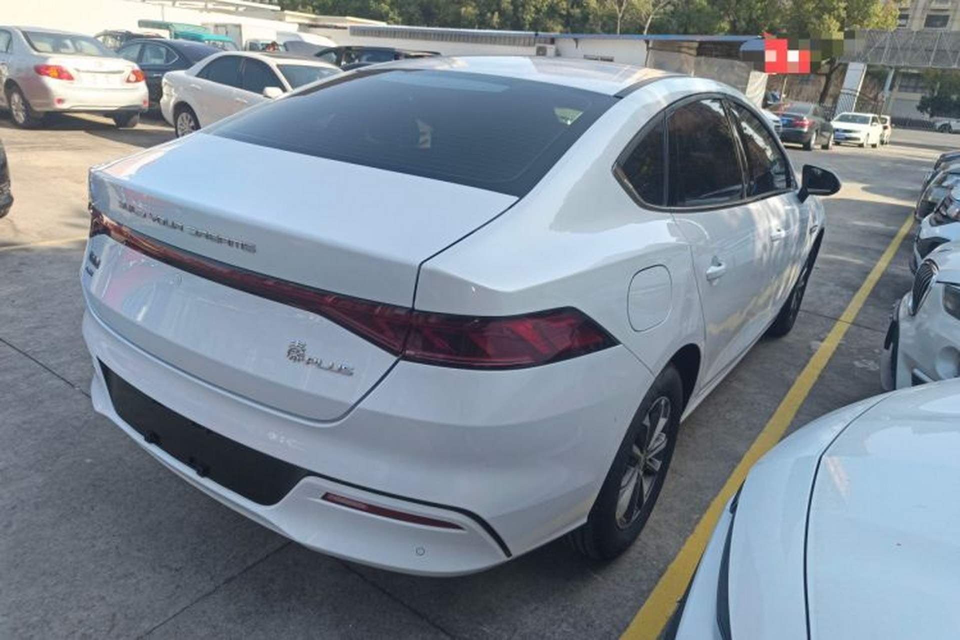Used BYD Qin PLUS 2024 HONOR Edition DM-i 55KM Leading Model Rear Right 45 Deg