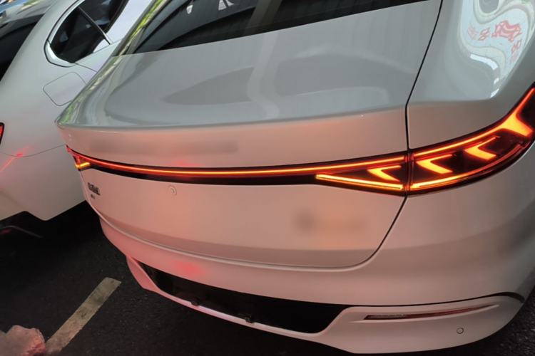 Used BYD Qin PLUS 2024 Honor Edition EV 510KM Leading Model Rear