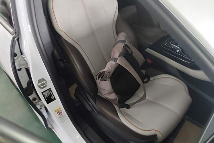 Used BYD Qin PLUS 2024 Honor Edition EV 510KM Leading Model Right Front Seat
