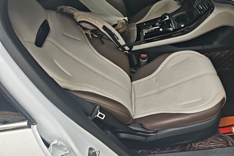 Used BYD Qin PLUS 2024 HONOR Edition DM-i 55KM Leading Model Right Front Seat