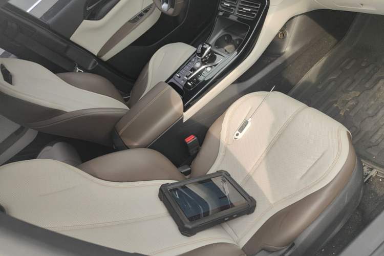 Used BYD Qin PLUS 2024 HONOR Edition DM-i 55KM Leading Model Right Front Seat