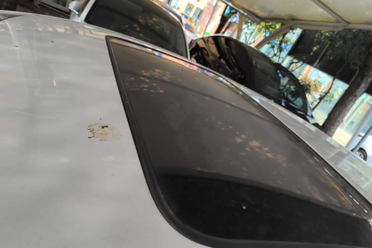 Used BYD Qin PLUS 2024 Honor Edition EV 420KM Beyond Model Roof