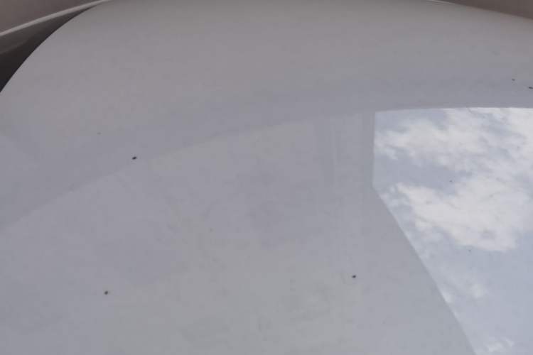 Used BYD Qin PLUS 2024 HONOR Edition DM-i 55KM Leading Model Roof