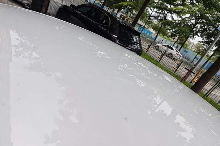 Used BYD Qin PLUS 2024 Honor Edition EV 510KM Leading Model Roof