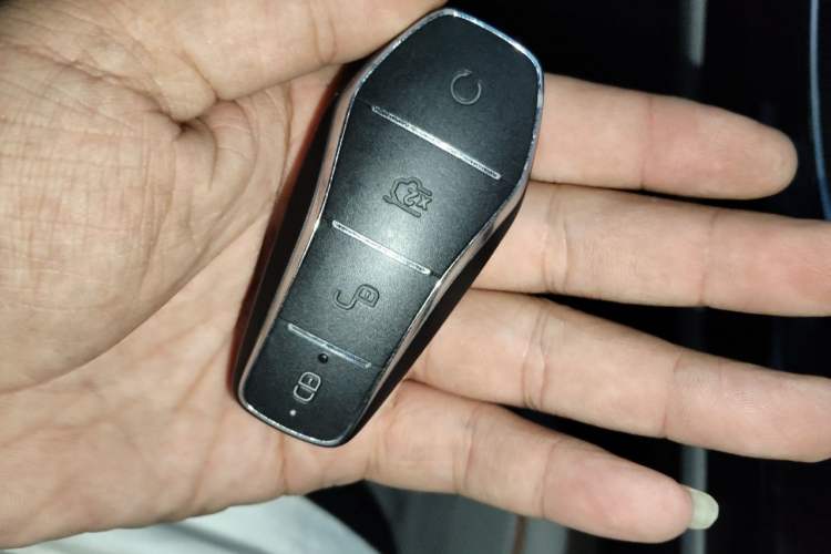 Used BYD Qin PLUS 2024 HONOR Edition DM-i 55KM Beyond Model Vehicle Key